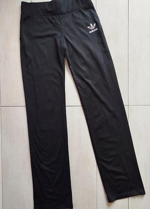 Жіночі прямі штани adidas з тонким флісом, розмір 40