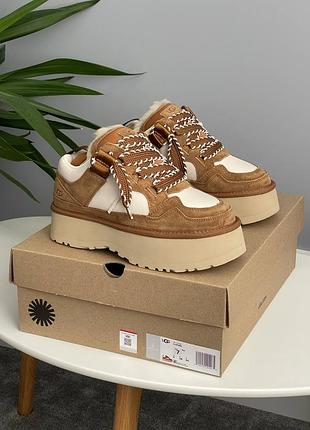 Женские зимние угги из натурального меха ugg astromel chestnut fur