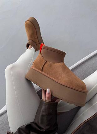 Жіночі зимові уггі з натурального хутра ugg mini dipper platform chestnut premium (9)