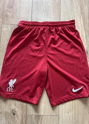 Спортивні шорти для хлопця