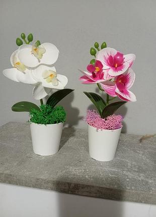 Латексная орхидея