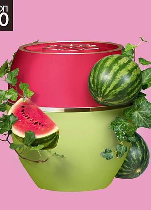 Пом'якшувальний засіб кавун