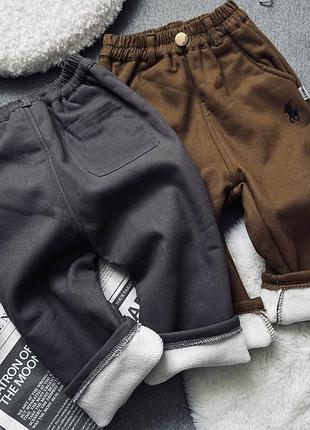 Теплі штани на хлопчика