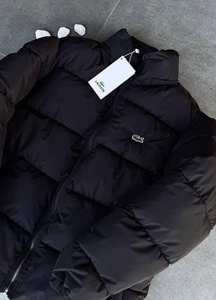 Мужская зимняя куртка с капюшоном lacoste