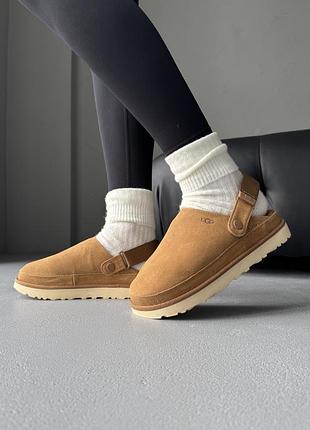 Женские зимние угги из натурального меха ugg goldenstar clog chestnut/beige