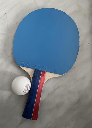 Збірна ракетка для настільного тенісу.