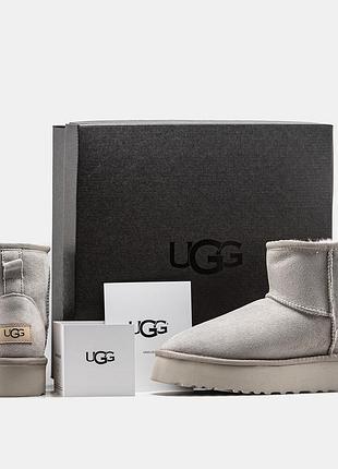 Ugg mini platform