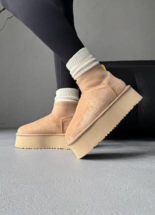 Жіночі зимові уггі з натурального хутра ugg classic dipper low beige