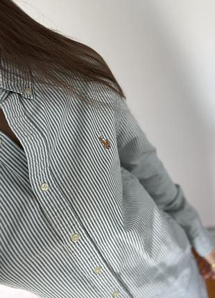 Жіноча сорочка в смужку polo ralph lauren оригінал ✔️