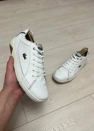 Кросівки lacoste