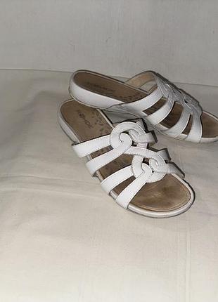 Шлепанцы *rohde * кожа р.40.5, 41 (27.00см)