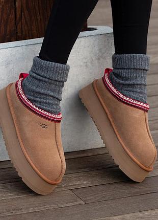 Жіночі зимові уггі з натурального хутра ugg tasman platform chestnut