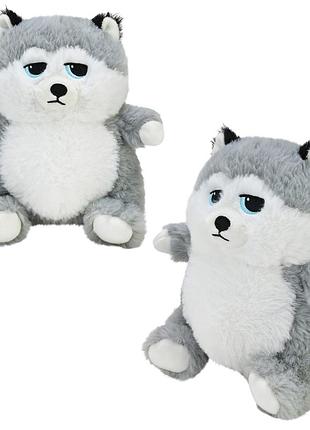 М'яка іграшка арт. qd2408 (60шт) собачка 18см