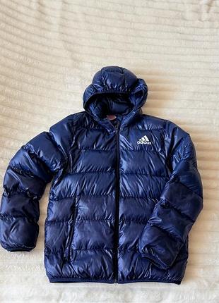 Чоловіча куртка adidas