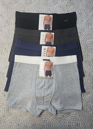 Чоловічі боксери spach | бавовна | m–2xl