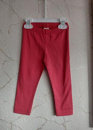 Лосины фирмы green cotton