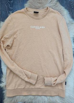 Чоловічий светр світшот cavallaro napoli cevazzio