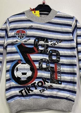 Світшот утеплений на хлопчика 110-140 зріст 134