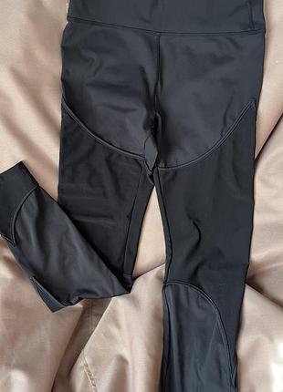 Спортивні лосіни plt