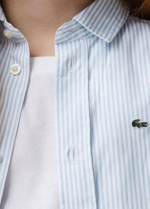 Бавовняна сорочка прямого крою  lacoste з смугастим принтом у стилі оксфорд, оригінал, нова