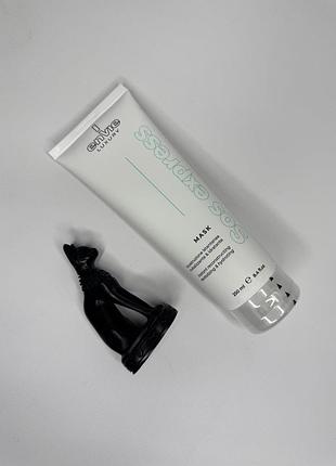 Aмiнoкислoтнa маска envie sublime sos mask для миттєвого відновлення волосся