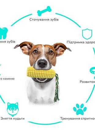 Игрушка для собак кукуруза с пищалкой и канатом грызлик для чистки зубов желтый, sl