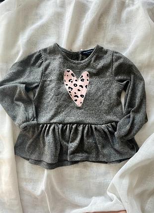 Свра кофтинка