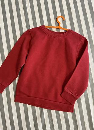 Яскравий утеплений світшот дівчинці на 5-6 років