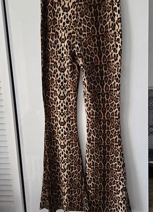 Леопардовые брюки/лосины клеш размер 40л яркие, мягкие