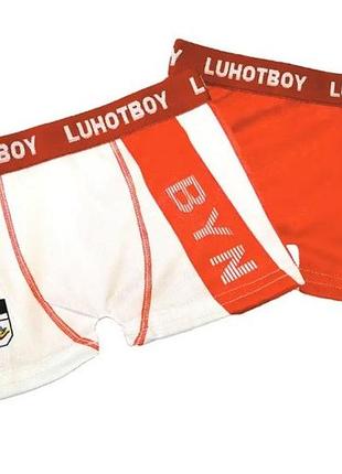 Трусы шоры боксеры 1-4 лет