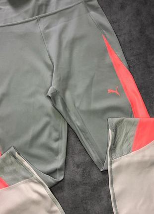 Лосіни puma 6