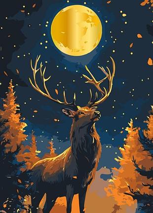 Картина за номерами "над прірвою" 11735-ac з металізованими фарбами 40x50 см