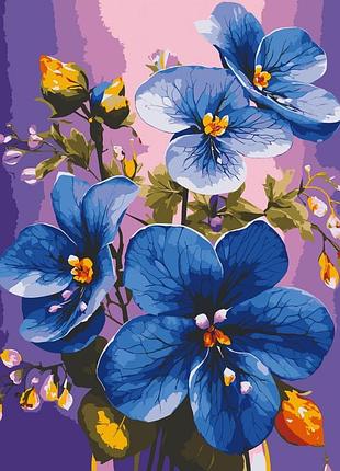 Картина за номерами "сині фіалки" 13097-ac 40х50 см