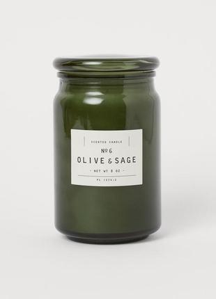 Ароматична свічка h&m home olive&sage олива&шавлія