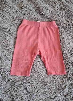 Шортики для немовлят