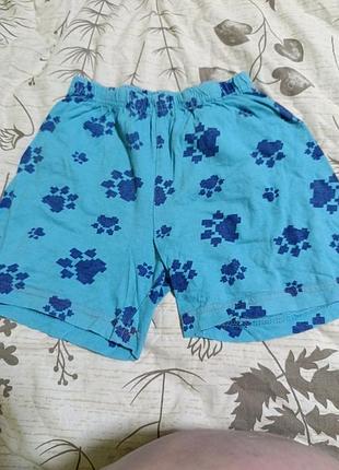 Шорты детские на мальчика