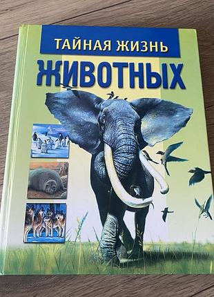 Тайная жизнь животных энциклопедия