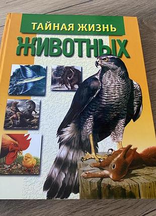 Тайная жизнь животных кюизен