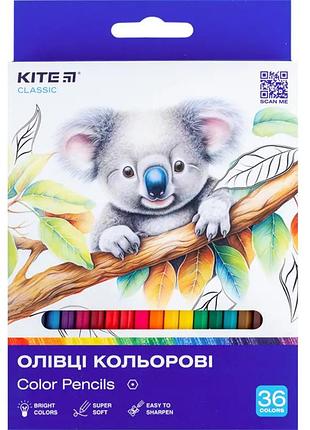 Олівці кольорові 36 кольорів kite classic