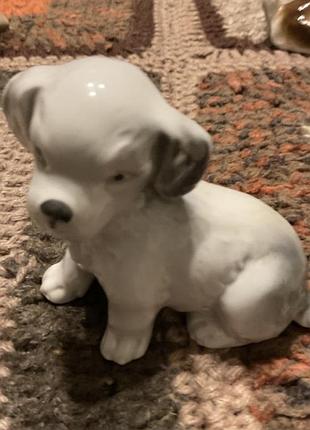 Статуетка собака фарфор порцеляна срср