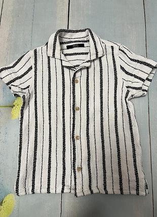 Шведка 4года