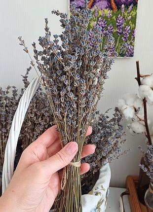 Лавандові букетики, сухоцвіт
