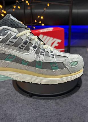 Термо кросівки nike p-6000 9