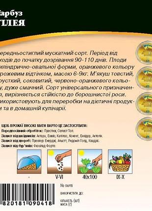 Тыква гилея 10г wos 2