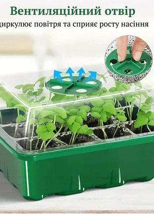 Мини парник для выращивания семян рассады с регулировкой влажности