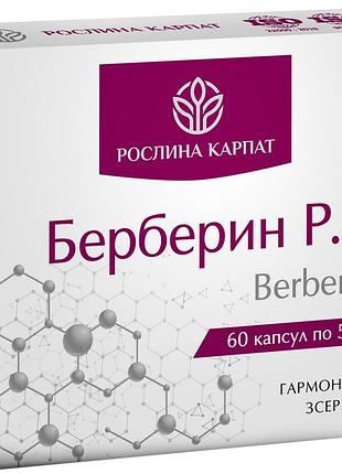 Берберин р.к. 60 капсул, володіє здатністю знижувати рівень цукру в крові, рослина карпат.