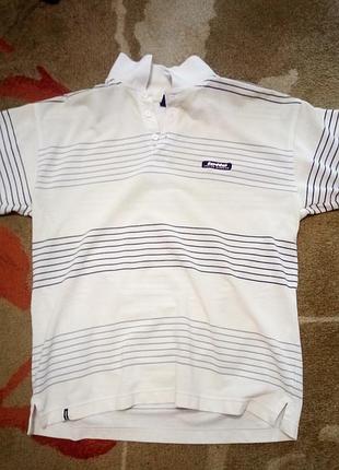 Тенниска мужская lotto