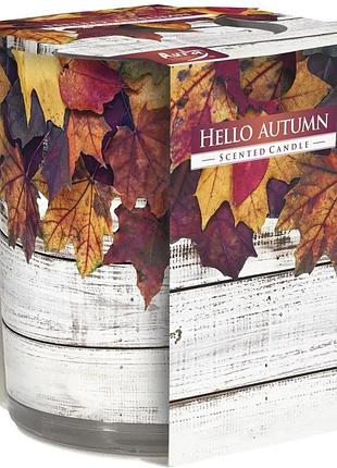 Ароматична свічка bispol ласкаво просимо осінь для створення атмосфери свіжості і романтики ve-33