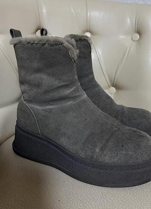 Стильні теплі чобітки сірого кольору на невеликій подошві замша натуральні