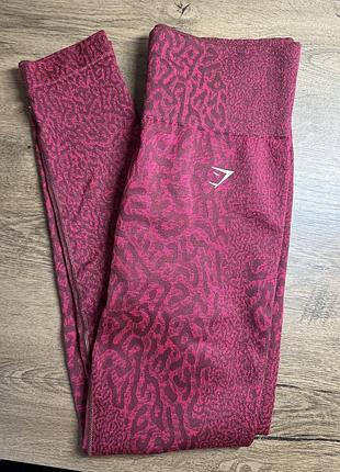 Лосини gymshark